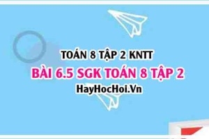 Bài 6.5 SGK Toán 8 Tập 2 Kết nối tri thức